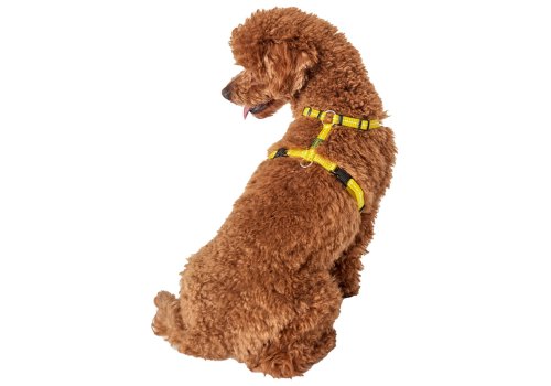 Hunter Tripoli / Шлейка Хантер для собак светоотражающая нейлон Желтая Hunter Tripoli / Шлейка Хантер для собак светоотражающая нейлон Желтая