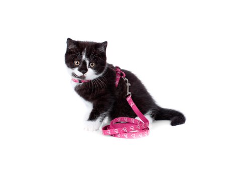 Hunter By Laura / Шлейка Хантер для кошек нейлон 22-46 см