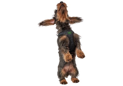 Hunter Hilo Soft Comfort / Шлейка Хантер для собак сетчатый текстиль Серая