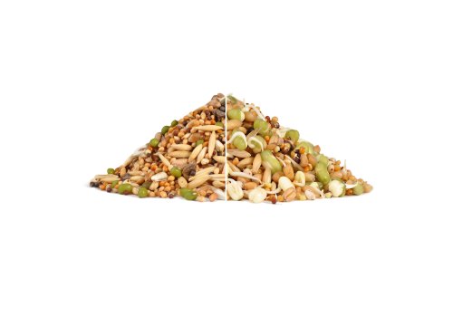 Rio Germination Set / Набор Рио для проращивания для всех видов птиц