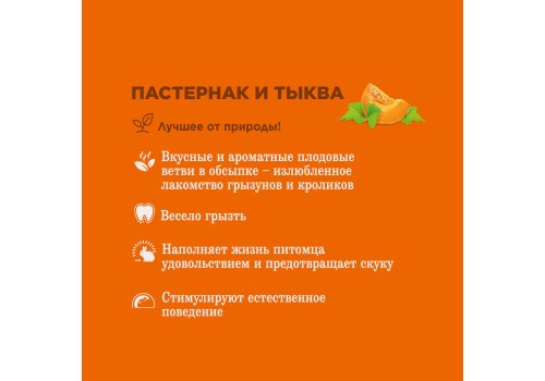 Little One Yummy branches Parsnip and Pumpkin / Лакомые ветви Литтл Уан для грызунов с Пастернаком и Тыквой