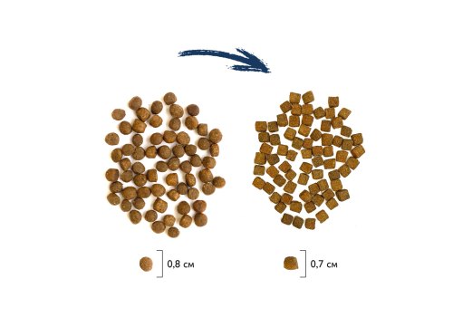 Brit Kitten Premium / Сухой корм Брит Премиум для Котят Курица Лосось