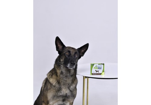 Fitodoc / Капли Фитодок для собак Крупных пород Дерматологические