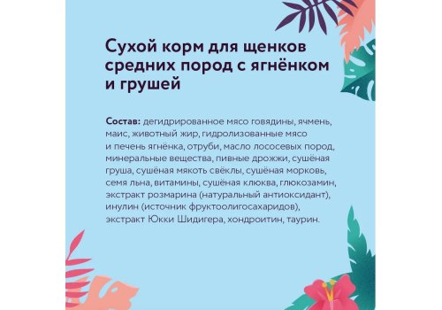 Florida Puppy Medium Breed Lamb & Pear / Сухой корм Флорида для Щенков Средних пород Ягненок груша