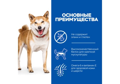 Hills Science Plan Medium Adult 1-6 No Grain Chicken / Сухой Беззлаковый корм Хиллс для собак Средних пород Курица картофель