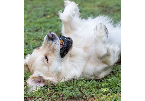 Tonka / Игрушка Тонка для собак Шина желто-черный