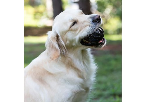 Tonka / Игрушка-дозатор Тонка для собак для лакомств тройной черный