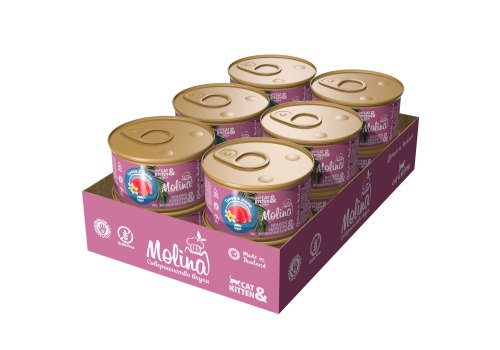 Molina Cat Kitten / Консервы Молина для Котят от 1 месяца и кошек Тунец в желе (цена за упаковку)
