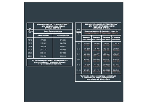 AlphaPet Puppy Superpremium / Сухой корм АльфаПет для Щенков, беременных и кормящих собак Средних пород Говядина рис