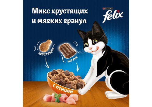 FELIX ДВОЙНАЯ ВКУСНЯТИНА / Сухой корм Пурина Феликс для взрослых кошек с птицей