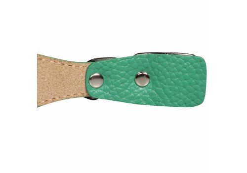 Mr.Kranch / Ошейник Мистер Кранч для собак из Натуральной кожи с QR-адресником Зеленый