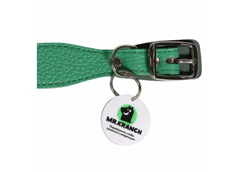 Mr.Kranch / Ошейник Мистер Кранч для собак из Натуральной кожи с QR-адресником Зеленый
