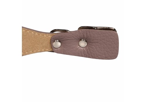 Mr.Kranch / Ошейник Мистер Кранч для собак из Натуральной кожи с QR-адресником Бежевый