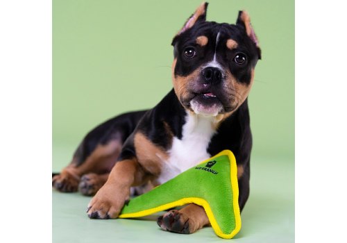 Mr.Kranch / Игрушка Мистер Кранч для собак Бумеранг с пищалкой Зеленый Mr.Kranch / Игрушка Мистер Кранч для собак Бумеранг с пищалкой Зеленый