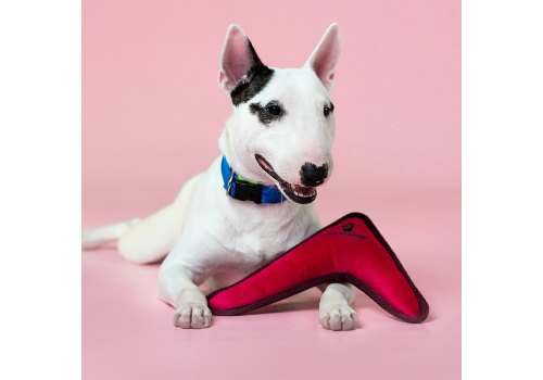 Mr.Kranch / Игрушка Мистер Кранч для собак Бумеранг с пищалкой Розовый