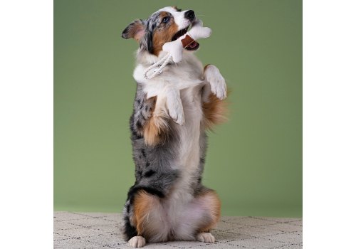 Mr.Kranch / Игрушка Мистер Кранч для собак Мелких и Средних пород Косточка с канатом Бежево-пятнистая