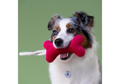 Mr.Kranch / Игрушка Мистер Кранч для собак Мелких и Средних пород Косточка с канатом Ярко-розовая