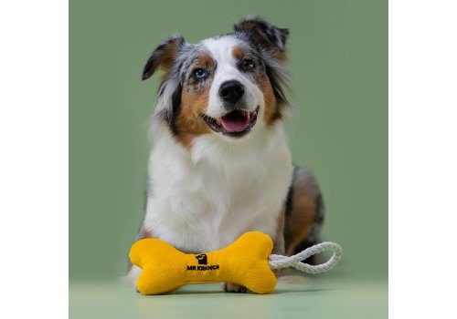 Mr.Kranch / Игрушка Мистер Кранч для собак Мелких и Средних пород Косточка с канатом Желтая