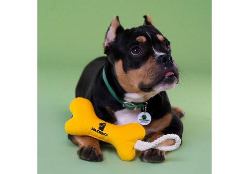 Mr.Kranch / Игрушка Мистер Кранч для собак Мелких и Средних пород Косточка с канатом Желтая