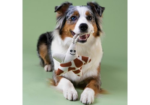 Mr.Kranch / Игрушка Мистер Кранч для собак Мелких и Средних пород Звездочка с канатом и пищалкой Бежево-пятнистая