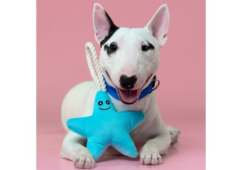 Mr.Kranch / Игрушка Мистер Кранч для собак Мелких и Средних пород Звездочка с канатом и пищалкой Нежно-голубая