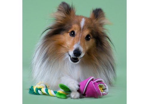 Mr.Kranch / Игрушка Мистер Кранч для собак Мелких и Средних пород Роза с канатом  Розовая