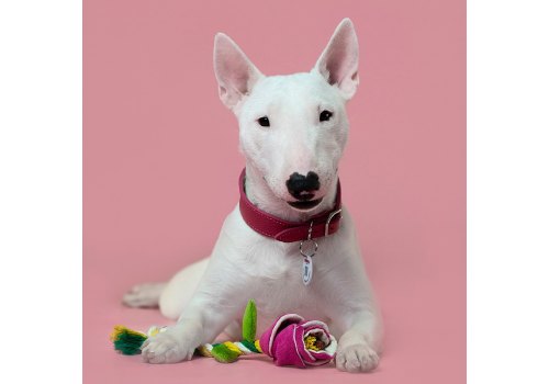 Mr.Kranch / Игрушка Мистер Кранч для собак Мелких и Средних пород Роза с канатом  Розовая