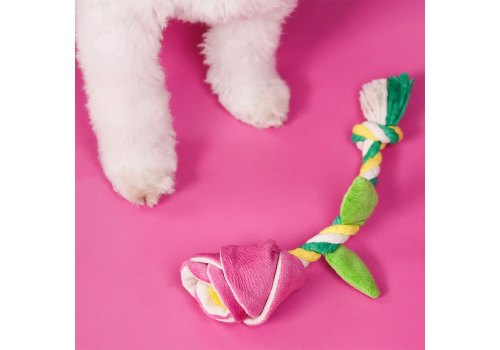 Mr.Kranch / Игрушка Мистер Кранч для собак Мелких и Средних пород Роза с канатом  Розовая