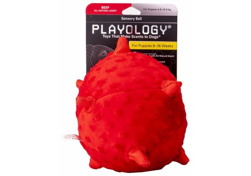 Playology Puppy Sensory Ball / Игрушка Плэйолоджи для Щенков сенсорный плюшевый мяч с ароматом говядины Красный