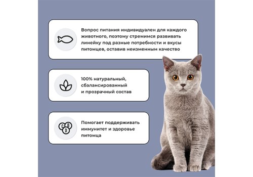 BOWL WOW / Сухой корм Боул Вау для Котят с Курицей и черникой