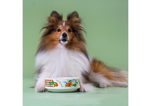 Mr.Kranch / Миска фарфоровая Мистер Кранч для собак и кошек Апельсины Белая