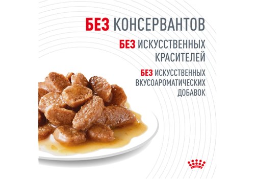 Royal Canin Digestive Care / Влажный корм (Консервы-Паучи) Роял Канин Дайджестив Кэа для кошек с Чувствительным пищеварением в Соусе (цена за упаковку)