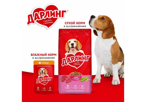 Дарлинг / Влажный корм Паучи для взрослых собак Курица в подливе (цена за упаковку)