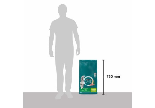 PURINA ONE HOUSECAT / Сухой корм Пурина УАН для взрослых кошек при домашнем образе жизни с индейкой