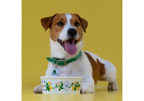 Mr.Kranch / Миска фарфоровая Мистер Кранч для собак и кошек Лимоны Белая