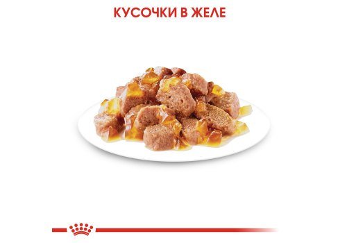 Royal Canin Instinctive Jelly / Влажный корм (Консервы-Паучи) Роял Канин Инстинктив для Взрослых кошек старше 1 года в Желе (цена за упаковку)