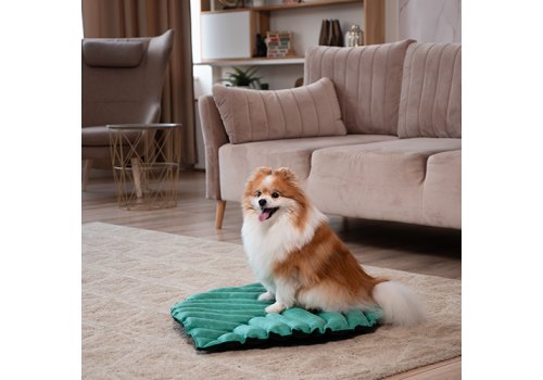 Mr.Kranch / Лежанка Мистер Кранч для животных Листочек двусторонняя Зеленая