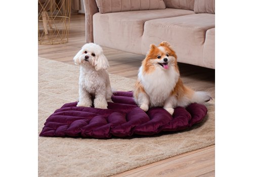 Mr.Kranch / Лежанка Мистер Кранч для животных Листочек двусторонняя Фиолетовая
