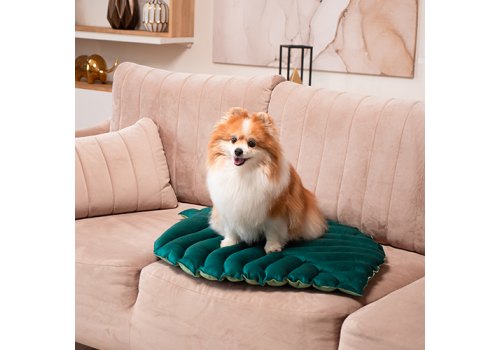 Mr.Kranch / Лежанка Мистер Кранч для животных Листочек двусторонняя с имитацией кожи Зеленая