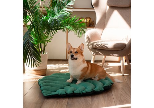 Mr.Kranch / Лежанка Мистер Кранч для животных Листочек двусторонняя с имитацией кожи Зеленая