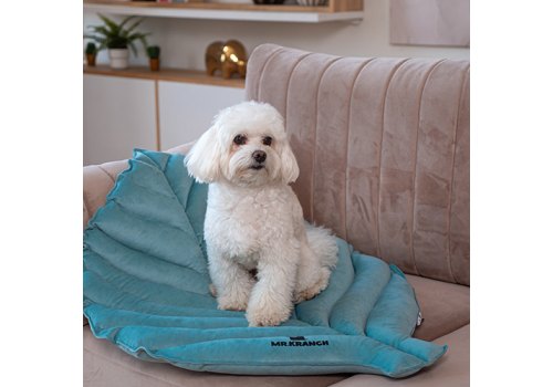 Mr.Kranch / Лежанка Мистер Кранч для животных Листочек двусторонняя Мятная