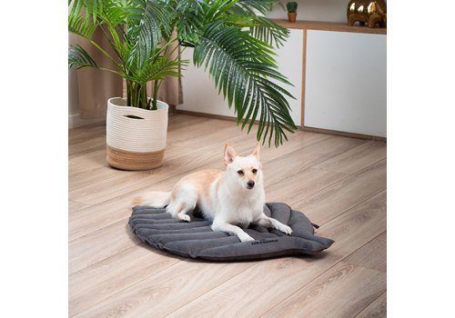 Mr.Kranch / Лежанка Мистер Кранч для животных Листочек двусторонняя Серая