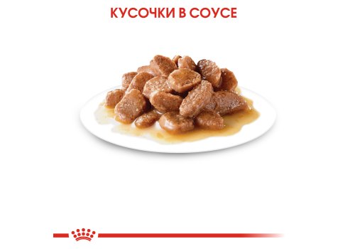 Royal Canin Instinctive / Влажный корм (Консервы-Паучи) Роял Канин Инстинктив для Взрослых кошек старше 1 года в Соусе (цена за упаковку)