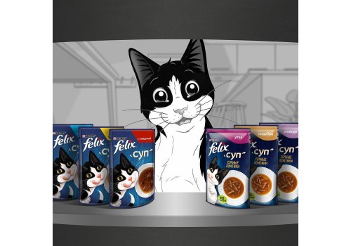 FELIX СУП / Влажный корм Паучи Пурина Феликс Суп для взрослых кошек Сочные ломтики с уткой (цена за упаковку)