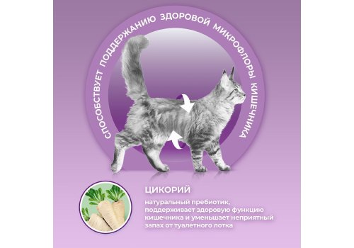 PURINA ONE / Сухой корм Пурина УАН для кошек особенно привередливых к вкусу утка и печень