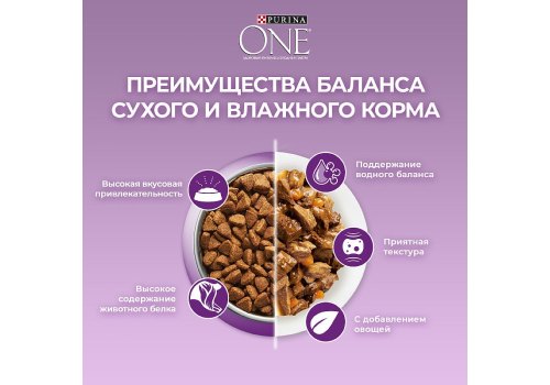 PURINA ONE / Сухой корм Пурина УАН для кошек особенно привередливых к вкусу утка и печень