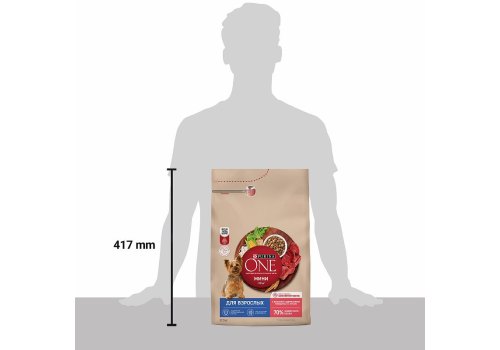 PURINA ONE ADULT / Сухой корм Пурина УАН для взрослых собак мелких пород с говядиной
