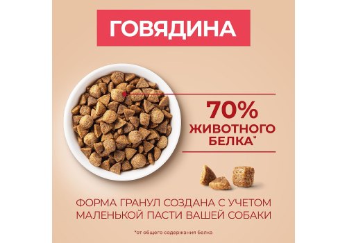 PURINA ONE ADULT / Сухой корм Пурина УАН для взрослых собак мелких пород с говядиной