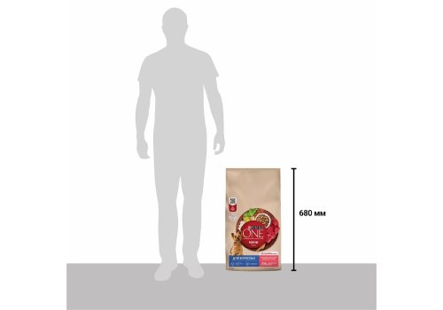 PURINA ONE ADULT / Сухой корм Пурина УАН для взрослых собак мелких пород с говядиной