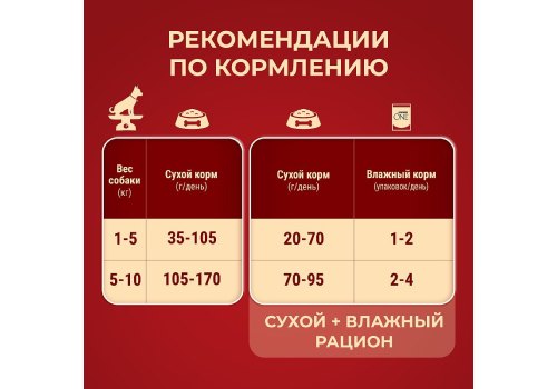 PURINA ONE ADULT / Сухой корм Пурина УАН для взрослых собак мелких пород с говядиной